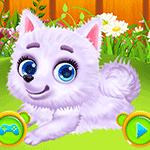 Newborn Puppy Dog Salon